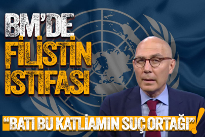 BM'nin başarısız olduğunu belirterek istifa etti