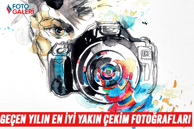 Geçen yılın en iyi yakın çekim fotoğrafları