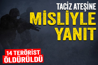 Taciz ateşi açan 14 terörist etkisiz hale getirildi