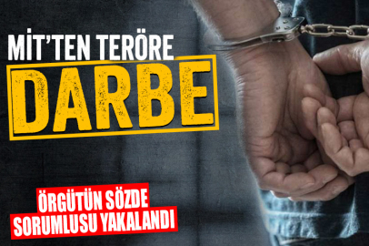 2 ilde terör operasyonu: Örgütün sözde sorumlusu yakalandı