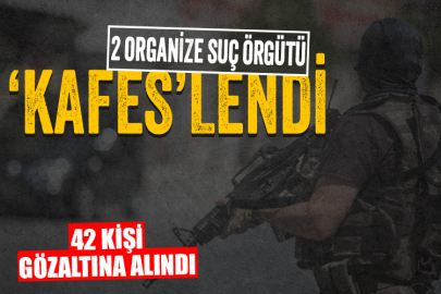 2 organize suç örgütü 'KAFES'lendi