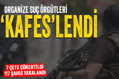 Organize suç örgütleri 'Kafes'lendi