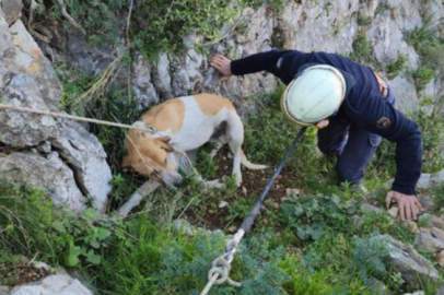 Uçurumda mahsur kalan köpeğin yardımına itfaiye koştu