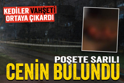 Çöpte poşete sarılı cenin bulundu