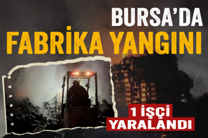 Bursa’da palet fabrikasında yangın: 1 kişi yaralandı