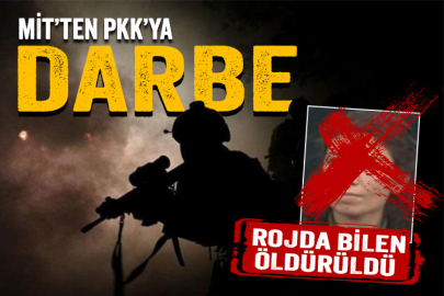 PKK'nın sözde sorumlularından Rojda Bilen etkisiz hale getirildi