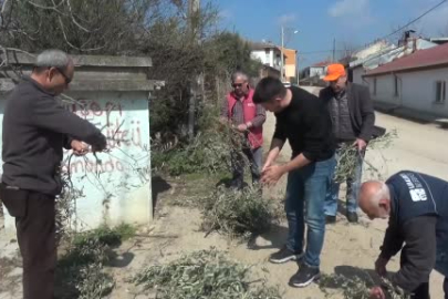 Bursa'da Yaren leyleğin köyünde bahar temizliği