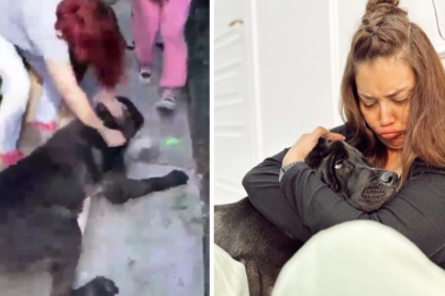 Köpeği, başka bir köpeği öldüren Banu Parlak'tan açıklama