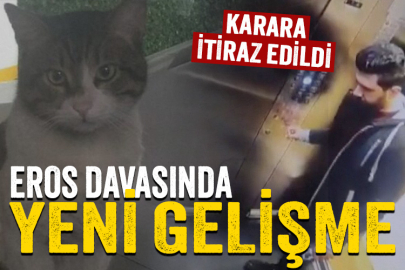 Kedi Eros davasında yeni gelişme!