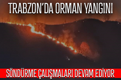 Trabzon'un Of ilçesinde orman yangını