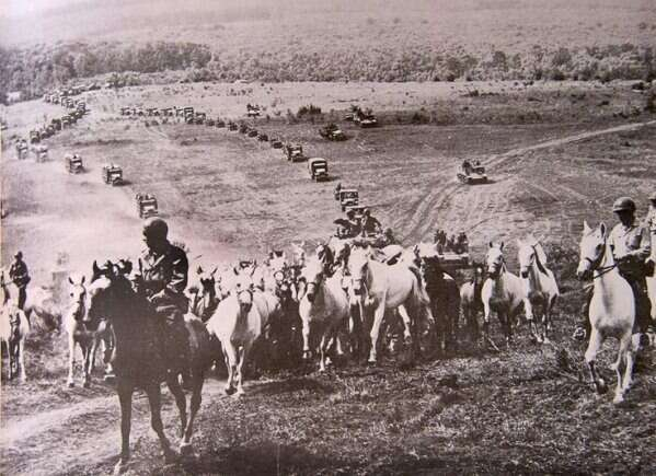 5. İkinci Dünya Savaşı sırasında Alman ve Amerikan askerleri, nesli tükenmekte olan atları kurtarmak için birlikte hareket ettiler!