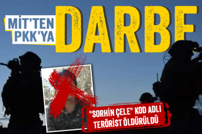 MİT'ten PKK'ya darbe: Sözde sorumlu etkisiz hale getirildi