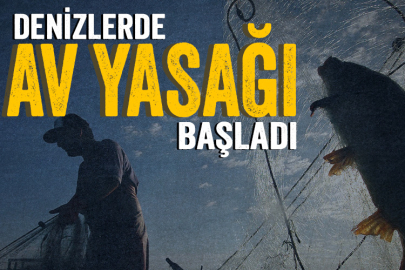 Denizlerde av yasağı bugün başladı