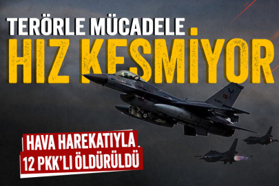 Terörle mücadele kesintisiz sürüyor: 12 PKK'lı etkisiz hale getirildi