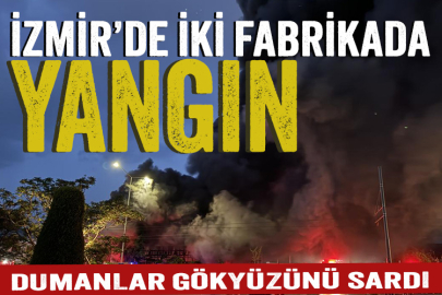 İzmir'de iki fabrikada yangın: Dumanlar gökyüzünü sardı