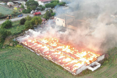 Manisa'da kozalak deposunda yangın: 160 ton ihracat ürünü yandı