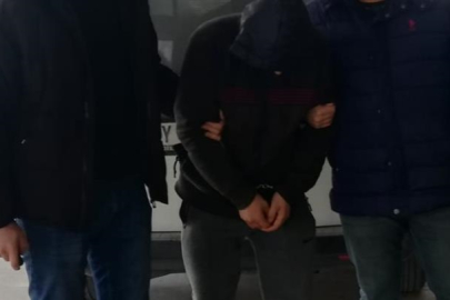 Şırnak'ta teröre darbe: 19 şüpheli yakalandı