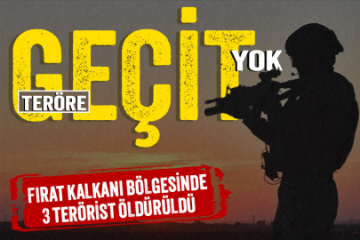 Teröre geçit yok! 3 PKK'lı etkisiz hale getirildi