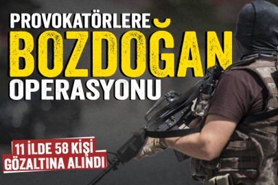 11 ilde terör propagandası yapanlara Bozdoğan operasyonu: 58 gözaltı