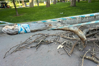 Taksim Gezi Parkı'nda inanılmaz olay: Başına dal parçası düşen kadın bayıldı