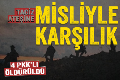 Taciz ateşine misliyle karşılık: 4 PKK'lı etkisiz hale getirildi