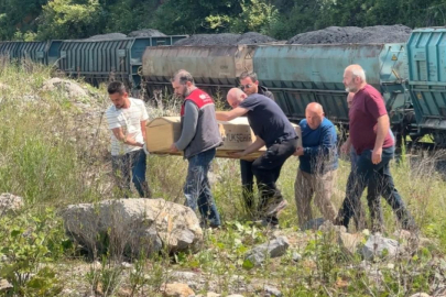 Zonguldak'ta 89 yaşındaki kadına tren çarptı