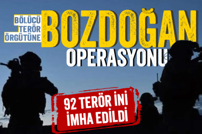 11 ilde 'Bozdoğan-37' operasyonu: Terör inleri imha edildi