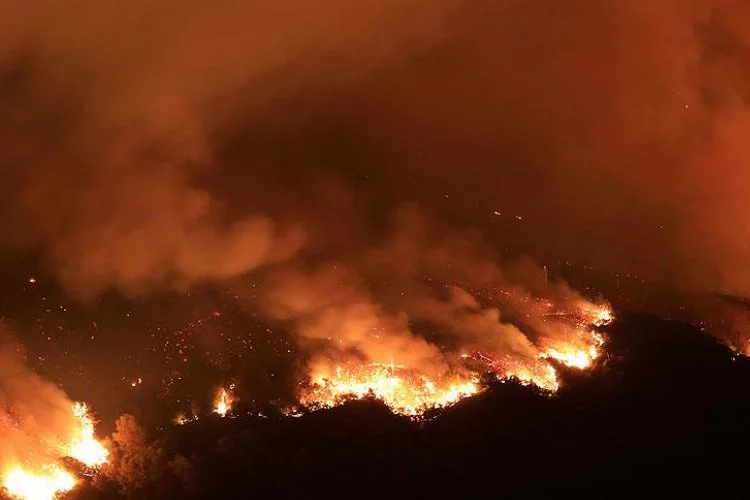 Kanada'da orman yangınları nedeniyle binlerce kişi tahliye edildi