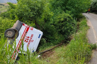 Akrep sokması vakasına giden ambulans kaza yaptı