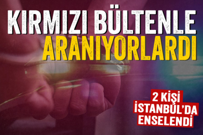 Kırmızı bültenle aranan 2 zehir taciri İstanbul'da yakalandı