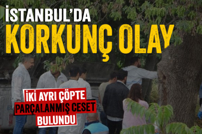 İstanbul'da iki ayrı çöpte parçalanmış ceset bulundu