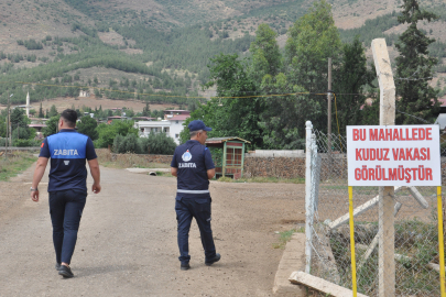 Bir kişiyi ısıran köpek kuduz çıktı: Mahalle karantinada