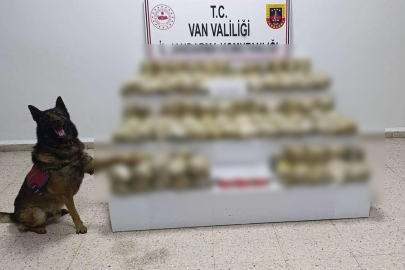 Van'da uyuşturucu tacirlerine darbe: 67 kişi gözaltına alındı
