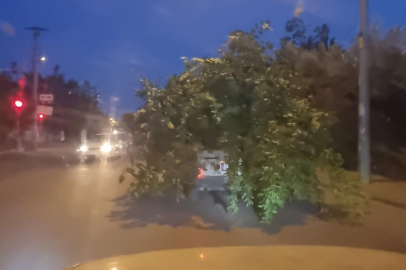 Adana'da 'ağaçlı otomobil' görenleri şoke etti