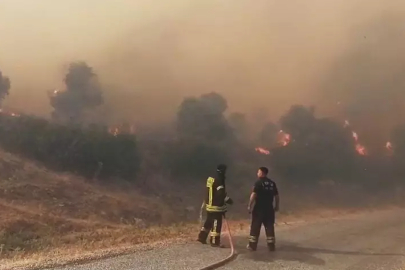 Aydın'da orman yangını!
