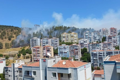 İzmir'in birden fazla yerinde orman yangını!