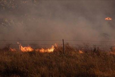 Los Angeles'ta orman yangını: 1200 kişi tahliye edildi