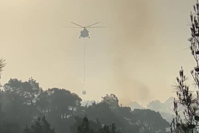 Adana'da çıkan orman yangınına ekiplerin müdahalesi devam ediyor