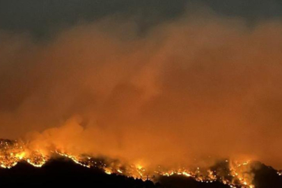 Uşak'taki orman yangınında son durum: Bakan Yumaklı açıkladı