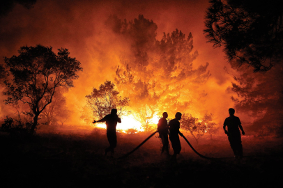 Orman yangınlarında acı tablo: Sadece yüzde 16’sı doğal kaynaklı