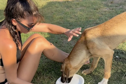 Hande Yener yanına gelen köpeğe köfte ısmarladı