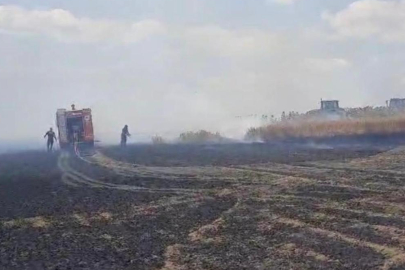 Tekirdağ'da 600 dekarlık buğday ekili alan yandı