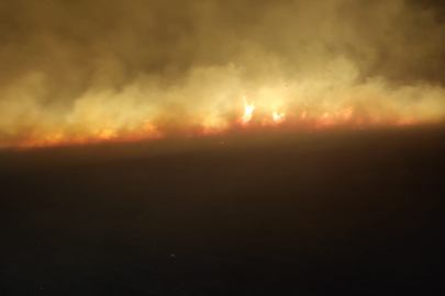 Diyarbakır’da orman ve örtü yangını