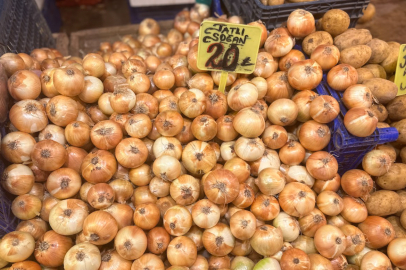 Karacabey soğanı bu yılda dünya markası!