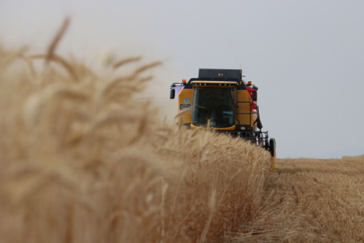 Un sanayicileri buğdayda 20 milyon tonluk rekolte bekliyor
