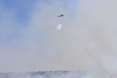 İzmir, Manisa, Balıkesir ve Kahramanmaraş'ta orman yangını