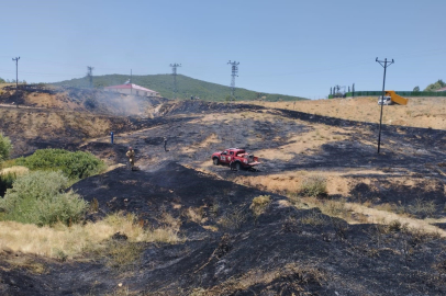 Bingöl’de çıkan orman yangını söndürüldü