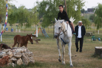 Bursa'da kısır sanılan at, 10 yıl sonra ilk kez doğum yaptı