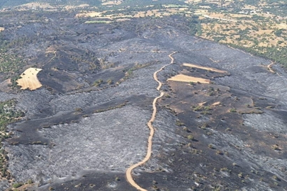 Büyükorhan'da yanan ormanlar yeniden yeşilleniyor