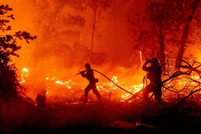 Çam ağaçları yangın sırasında daha çabuk tutuşuyor
